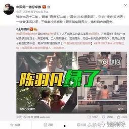 探幽作者爆料视频下载大全,揭秘视频下载大全背后的秘密  第2张